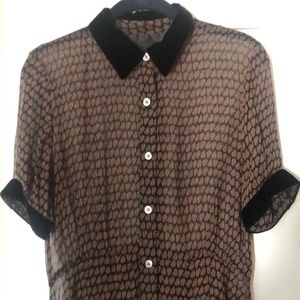 No. 6 Sheer Dress, w/ velvet collar and cuffs